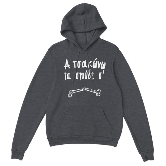 Α τσακώνω τα στούδε σ' hoodie - Pontiopoulo.gr